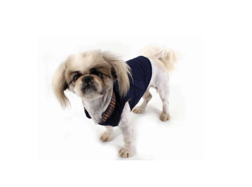 Doggy jacke